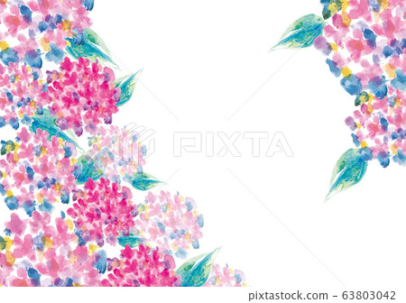 Hydrangea: hydrangea flower plant watercolor hand drawn illustration rainy season summer early summer hydrangea temple full bloom seasonal flower June 63803042