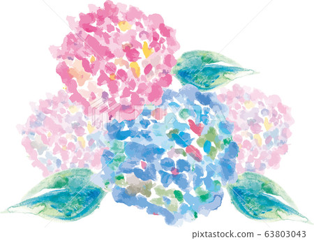 Hydrangea Hydrangea Flower Plant Watercolor Stock Illustration