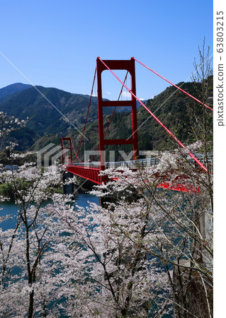 Odori Bridge 63803215