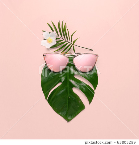Tropical beach concept. Fashionable hipster Monstera in trendy glasses. Creative poster, pink pastel background Tropical beach concept. Fashionable hipster Monstera in trendy glasses. Creative poster, pink pastel background 63803289
