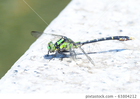 Aosanue (male) Aosanue (male) 63804212