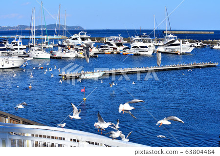 Atami Marina and condominiums built on hills 63804484