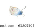 Beautiful blue brown watercolor translucent 63805305