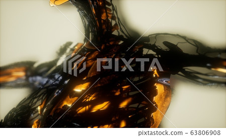 human skeleton bones scan glowing 63806908