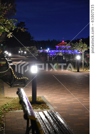 玫瑰園夜景照明照亮島島公園前橋 玫瑰園夜景照明照亮島島公園前橋 63807535