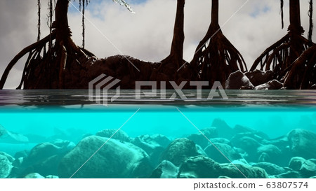Above and below the sea surface near mangrove 63807574
