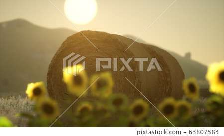 hay bales in the sunset hay bales in the sunset 63807583