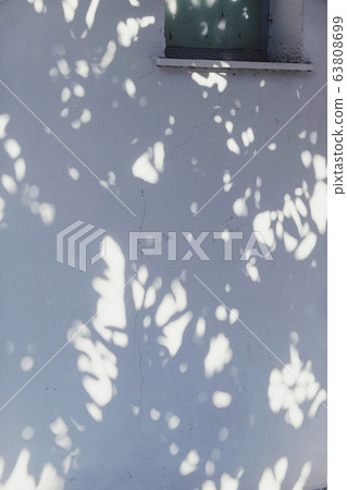 Shadows on the wall, sunshine and sun rays on summer day at sunset, nature and abstract 63808699