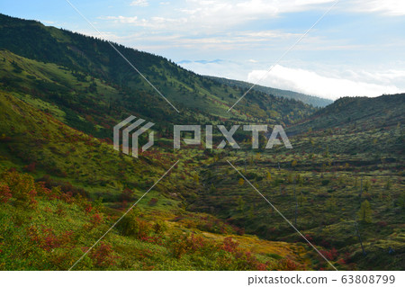清晨山田Pass 清晨山田Pass 63808799