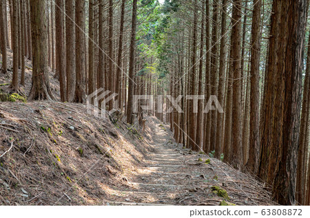 Kyoto Hiei Mountain trail Kyoto Hiei Mountain trail 63808872