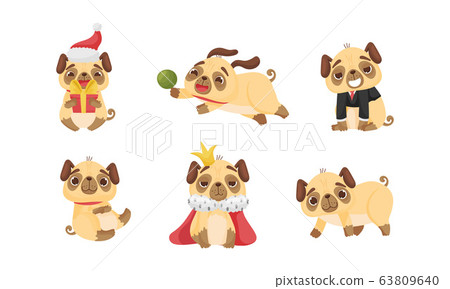Cute Pug-dog Puppy Wearing Mantle and Playing with Ball Vector Set Cute Pug-dog Puppy Wearing Mantle and Playing with Ball Vector Set 63809640