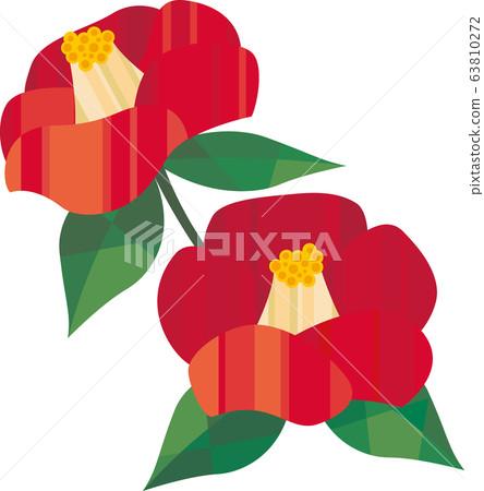 茶花 茶花 63810272