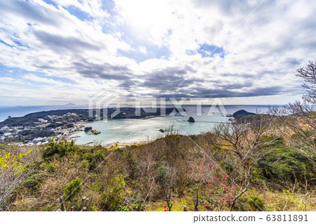 Shimoda Port seen from Mt. 63811891