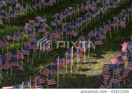 Many usa flags on green field 63812508