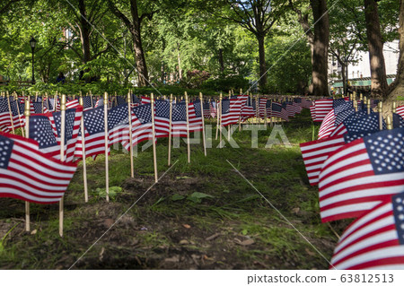 Many usa flags on green field 63812513