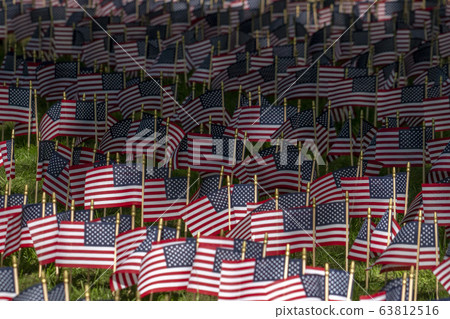 Many usa flags on green field Many usa flags on green field 63812516