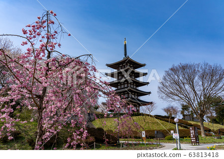 Five-storied pagoda of Adachigahara Hometown Village in spring, Nihonmatsu City, Fukushima Prefecture 63813418