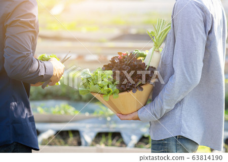 Beautiful young asian two man picking up fresh organic vegetable with basket together 63814190