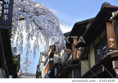 [Kyoto Prefecture] The townscape and cherry blossoms of Saneizaka 63814849