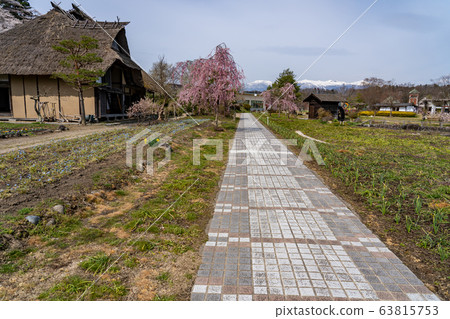 福島縣日本松市市春季足立原故鄉絲綢之家 63815753