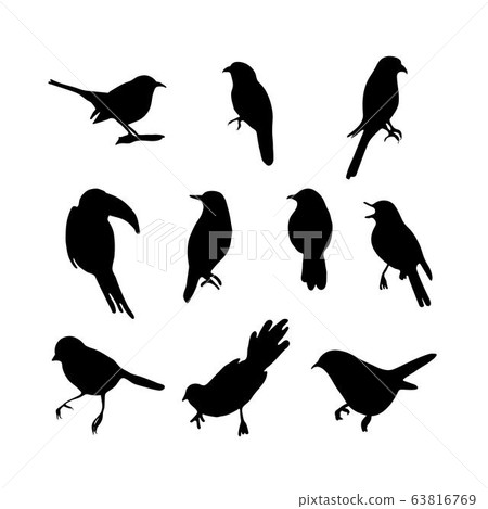 Bird Silhouettes collection. Sketchy hand drawing. Great as icon and logo. Vector illustration set 63816769