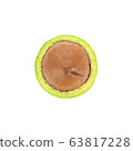 fresh macadamia nut on white background 63817228