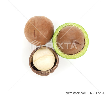macadamia nuts isolated on white background. 63817231
