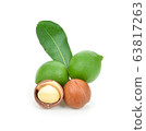 macadamia nuts isolated on white background 63817263