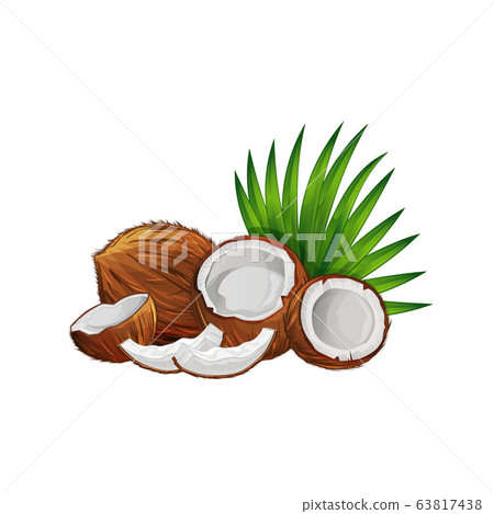 Coconut with half and green palm leaves set 63817438