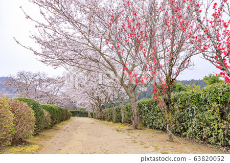 Ishibutai Tumulus Spring 63820052