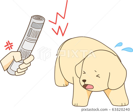 Golden Retriever puppy (feared by being angry at the rolled newspaper) 63820240