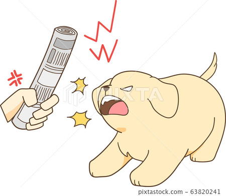 Golden Retriever puppy (rebelliously angry at rolled newspaper) Golden Retriever puppy (rebelliously angry at rolled newspaper) 63820241