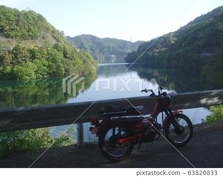Exploring the forest road at Dam Lake Exploring the forest road at Dam Lake 63820833