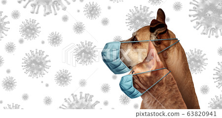 Coronavirus Pets Coronavirus Pets 63820941