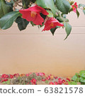 茶花照明 63821578