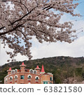 櫻花和城堡 63821580