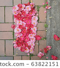 花是花即使落下 63822151