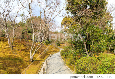 Path of garden of Tenryuji Temple. 63822440