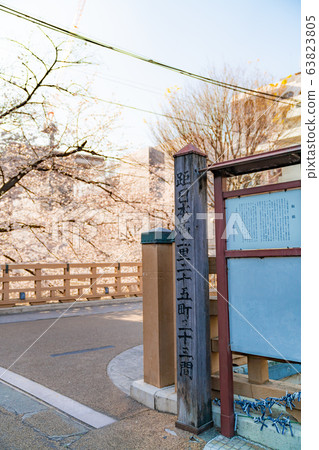 Spring in Japan Cherry blossoms along the Ishigami River Green Road, Itabashi-ku, Tokyo 63823805