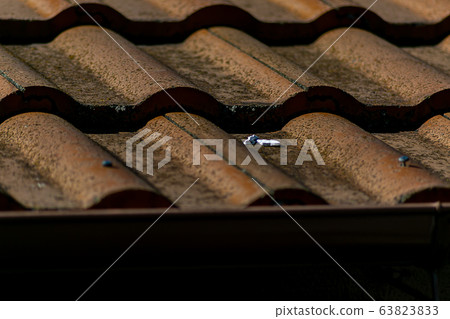 Roof tile Roof tile 63823833