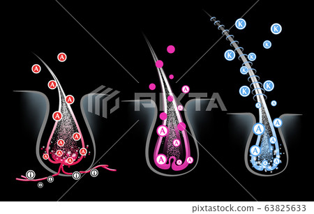 Hair follicles in skin, vitamins, keratin, growth cycle 63825633