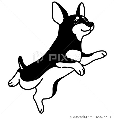 跳微型杜賓犬單色 跳微型杜賓犬單色 63826324