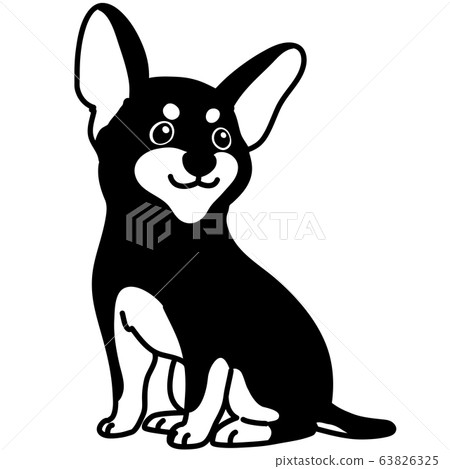 坐微型杜賓犬單色 坐微型杜賓犬單色 63826325