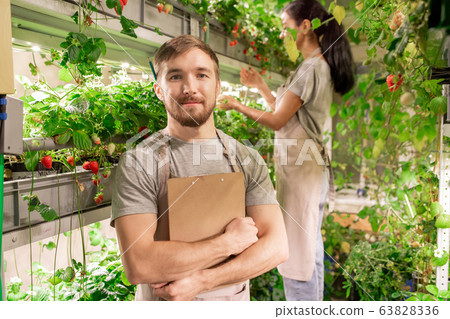 Gardener in berry greenhouse Gardener in berry greenhouse 63828336