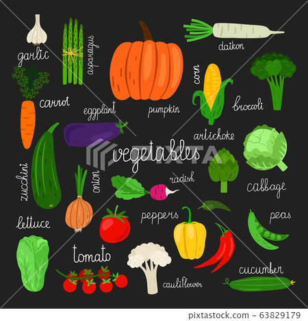 Harvest, fresh vegetables of set vector illustration 63829179