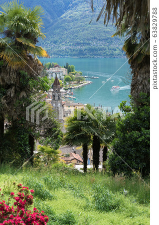 Summer view of Ascona, south of Switzerland 63829788