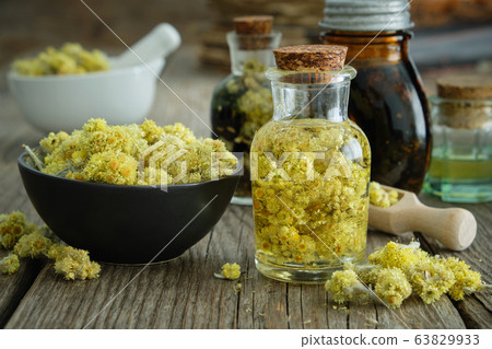 Helichrysum infusion bottle, immortelle flowers Helichrysum infusion bottle, immortelle flowers 63829933