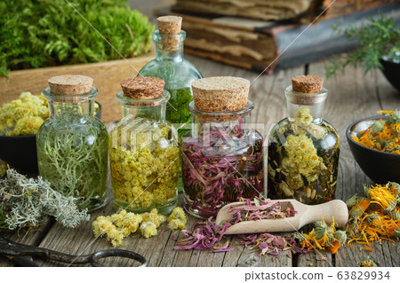 Bottles of infusion of medicinal herbs. Bottles of infusion of medicinal herbs. 63829934