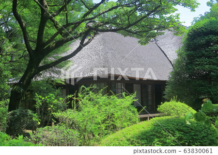 江戶東京花園 江戶東京花園 63830061