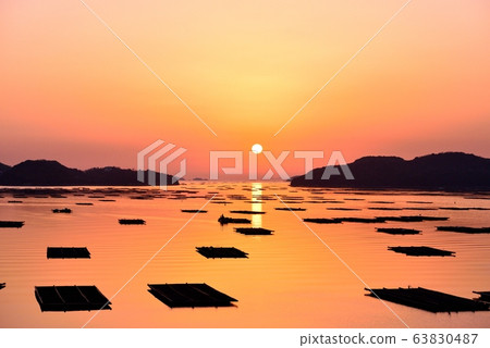 In the morning 63830487